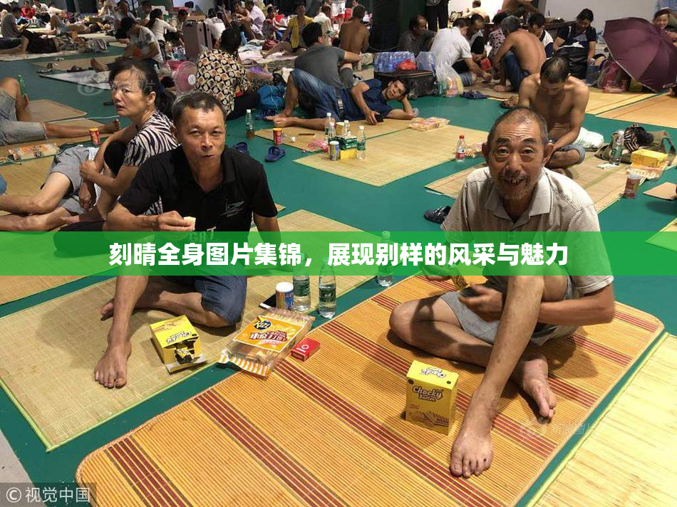刻晴全身图片集锦，展现别样的风采与魅力