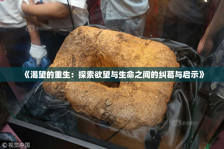 《渴望的重生：探索欲望与生命之间的纠葛与启示》