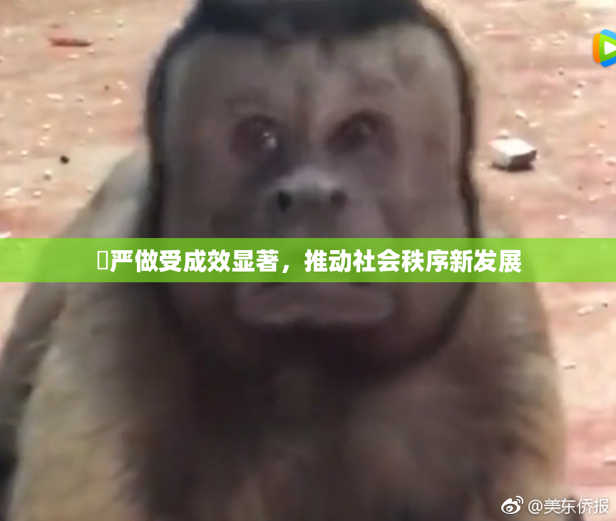 囯严做受成效显著，推动社会秩序新发展