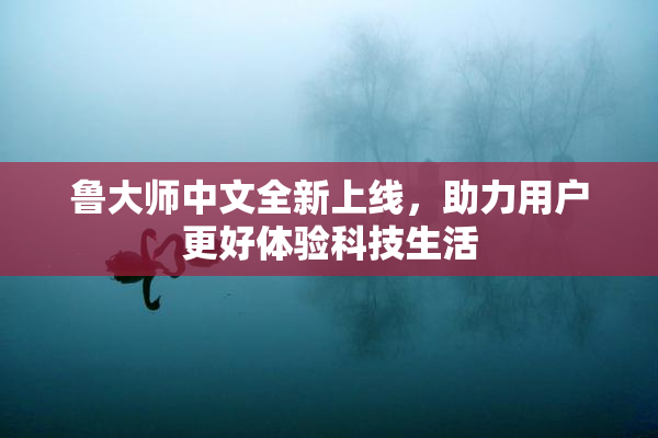 鲁大师中文全新上线，助力用户更好体验科技生活