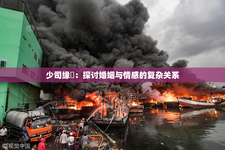 少司缘婬：探讨婚姻与情感的复杂关系