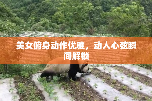 美女俯身动作优雅，动人心弦瞬间解锁