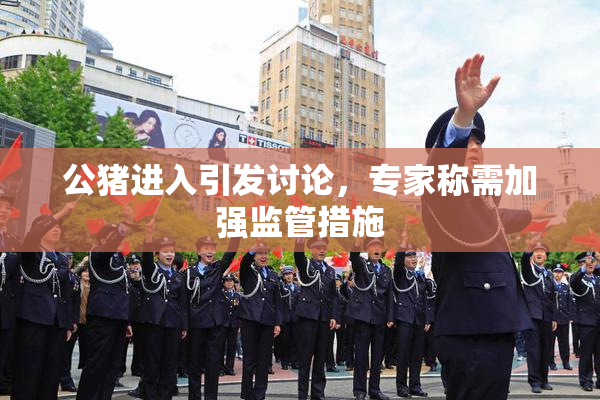 公猪进入引发讨论，专家称需加强监管措施