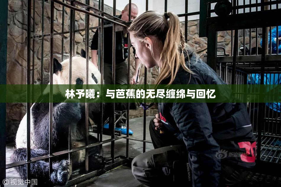 林予曦：与芭蕉的无尽缠绵与回忆