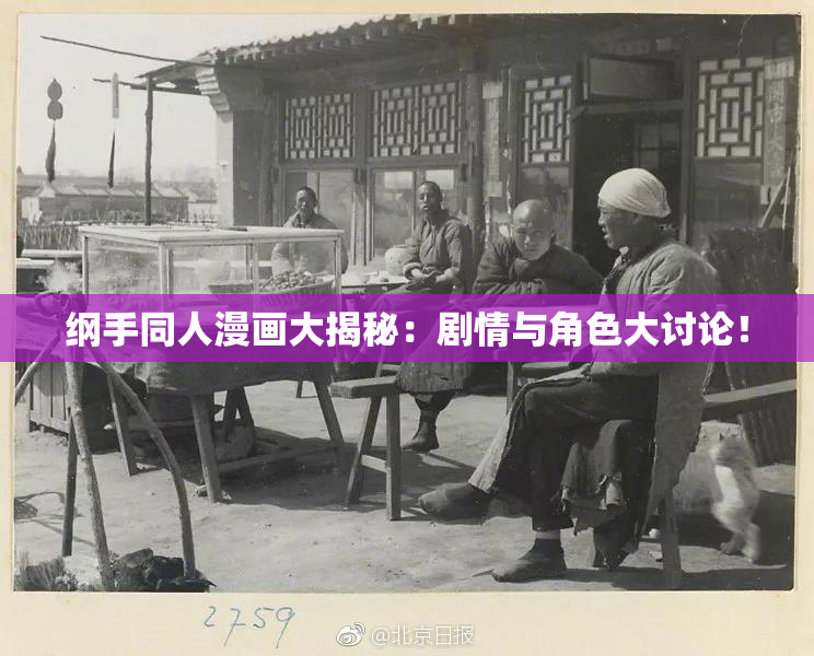 纲手同人漫画大揭秘：剧情与角色大讨论！