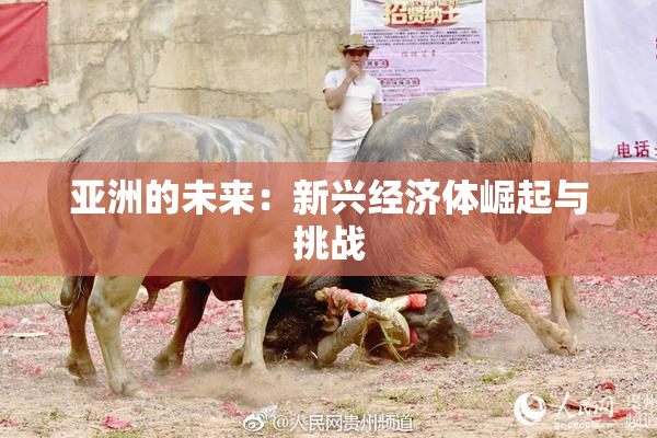 亚洲的未来：新兴经济体崛起与挑战