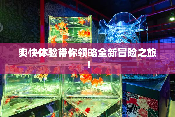 爽快体验带你领略全新冒险之旅！