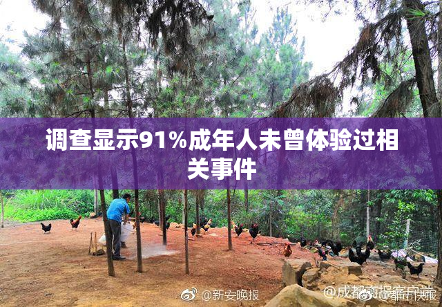 调查显示91%成年人未曾体验过相关事件