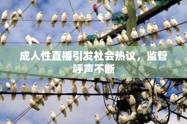 成人性直播引发社会热议，监管呼声不断