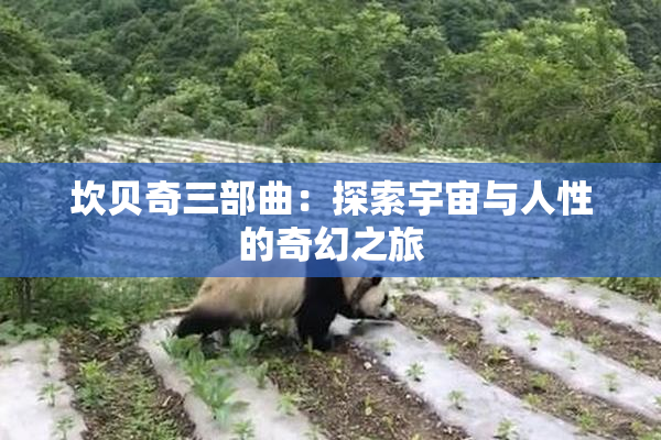 坎贝奇三部曲：探索宇宙与人性的奇幻之旅