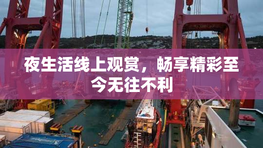 夜生活线上观赏，畅享精彩至今无往不利