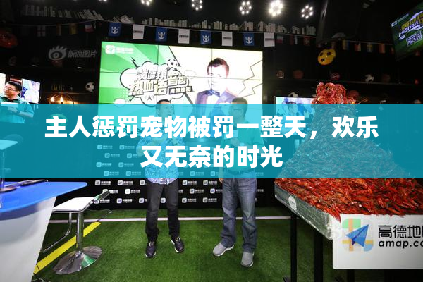 主人惩罚宠物被罚一整天，欢乐又无奈的时光