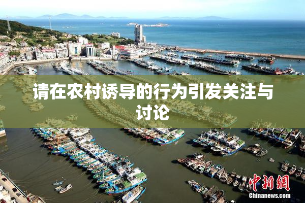 请在农村诱导的行为引发关注与讨论
