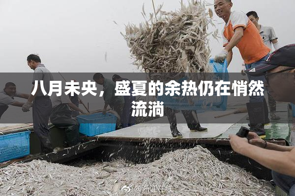 八月未央，盛夏的余热仍在悄然流淌