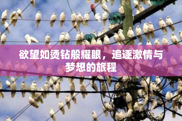 欲望如烫钻般耀眼，追逐激情与梦想的旅程