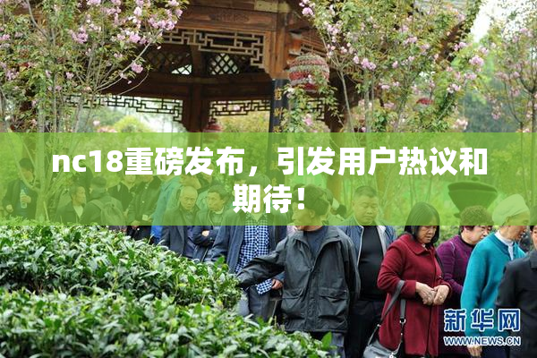 nc18重磅发布，引发用户热议和期待！