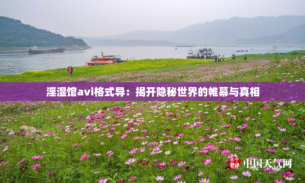 淫湿馆avi格式导：揭开隐秘世界的帷幕与真相