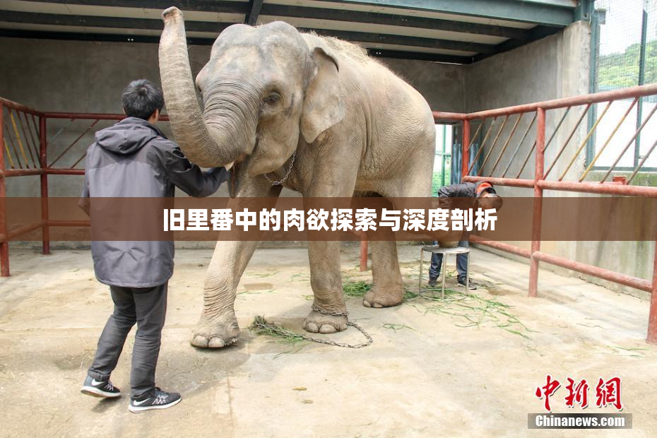 旧里番中的肉欲探索与深度剖析