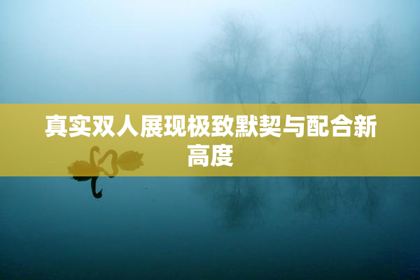 真实双人展现极致默契与配合新高度