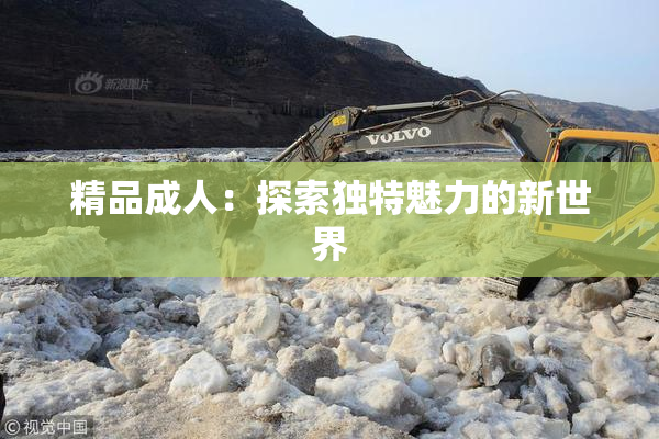精品成人：探索独特魅力的新世界