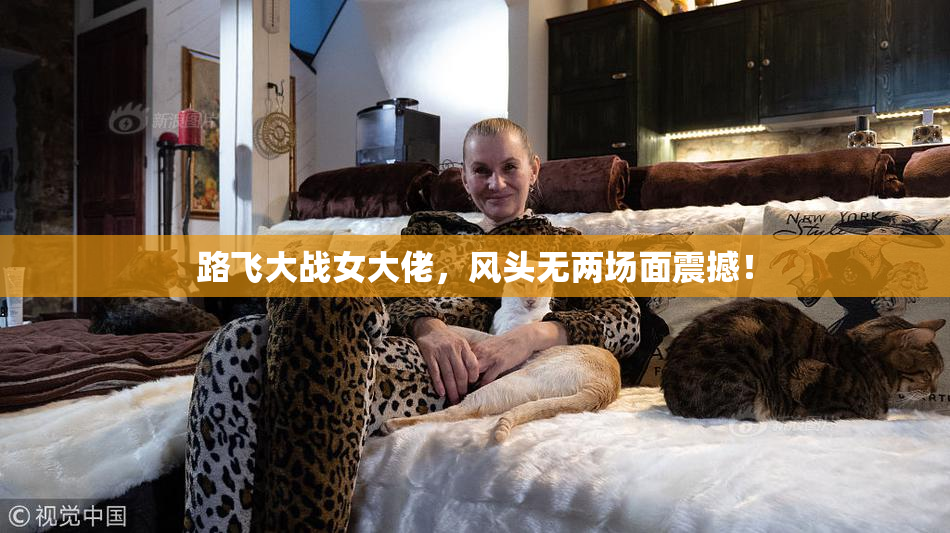 路飞大战女大佬，风头无两场面震撼！