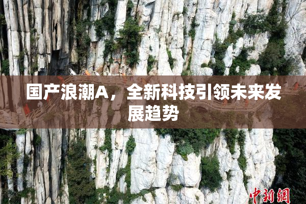 国产浪潮A，全新科技引领未来发展趋势