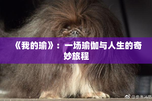 《我的瑜》：一场瑜伽与人生的奇妙旅程