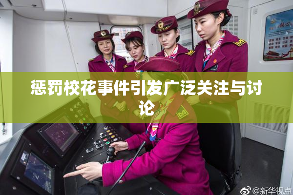 惩罚校花事件引发广泛关注与讨论