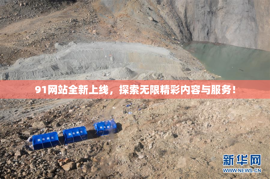91网站全新上线，探索无限精彩内容与服务！