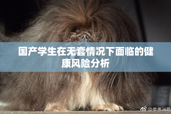 国产学生在无套情况下面临的健康风险分析