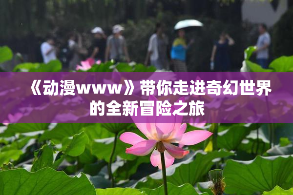 《动漫www》带你走进奇幻世界的全新冒险之旅