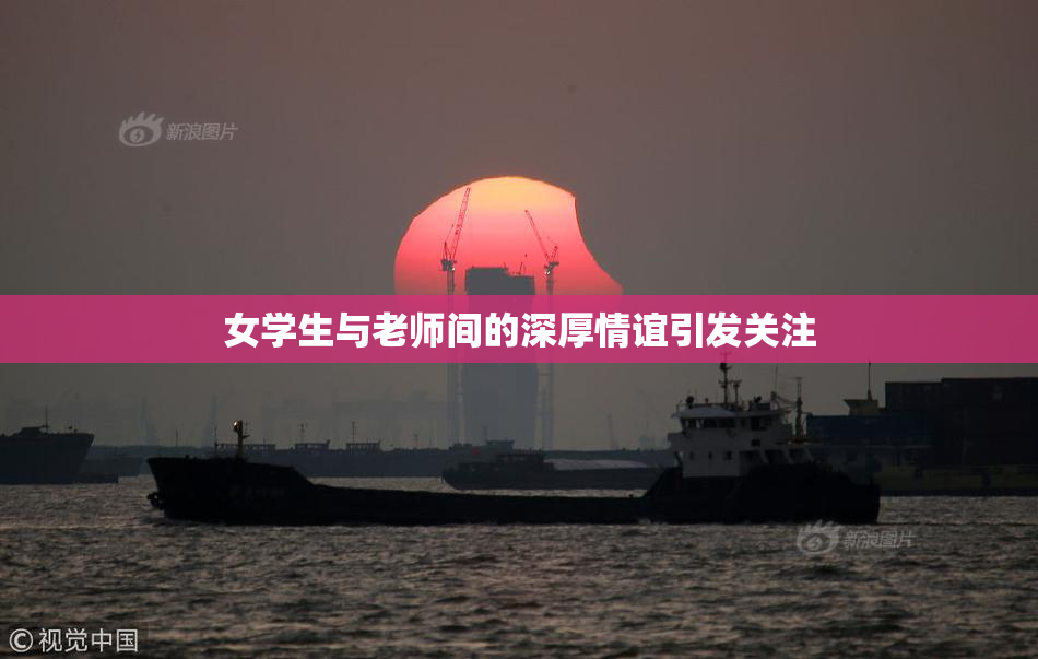 女学生与老师间的深厚情谊引发关注