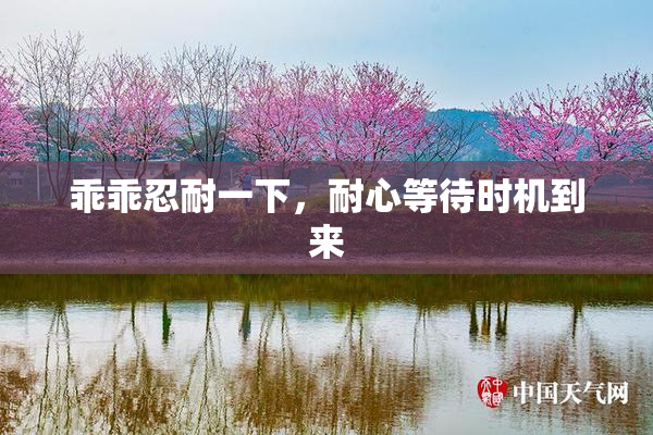 乖乖忍耐一下，耐心等待时机到来
