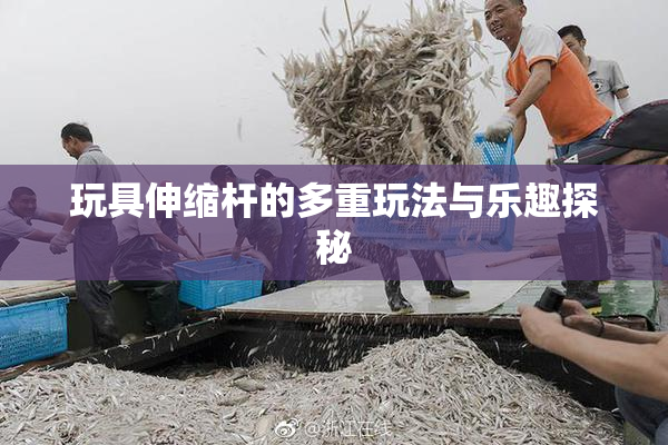 玩具伸缩杆的多重玩法与乐趣探秘