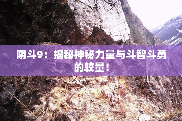 阴斗9：揭秘神秘力量与斗智斗勇的较量！