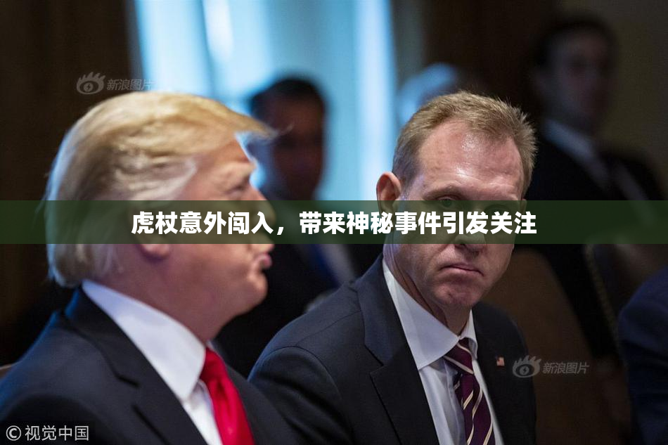 虎杖意外闯入，带来神秘事件引发关注