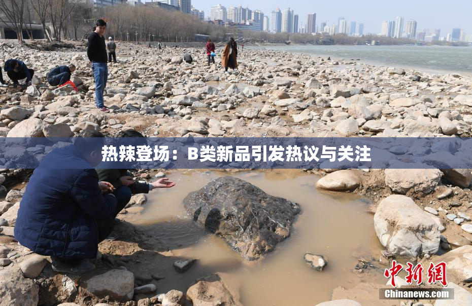 热辣登场：B类新品引发热议与关注