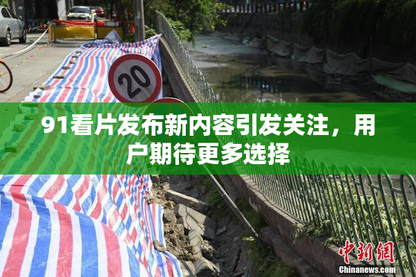 91看片发布新内容引发关注，用户期待更多选择