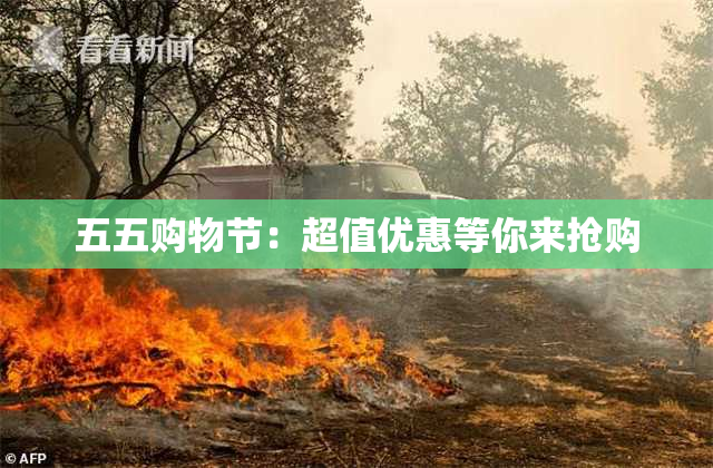五五购物节：超值优惠等你来抢购