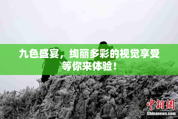 九色盛宴，绚丽多彩的视觉享受等你来体验！
