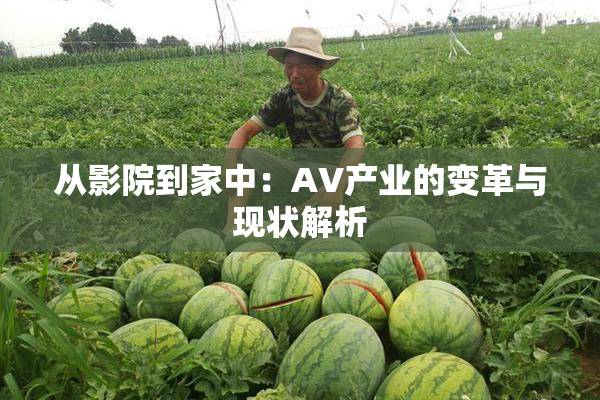 从影院到家中：AV产业的变革与现状解析