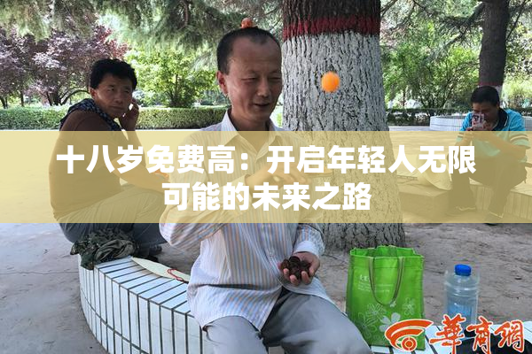 十八岁免费高：开启年轻人无限可能的未来之路