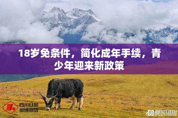 18岁免条件，简化成年手续，青少年迎来新政策