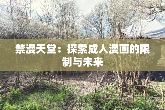 禁漫天堂：探索成人漫画的限制与未来