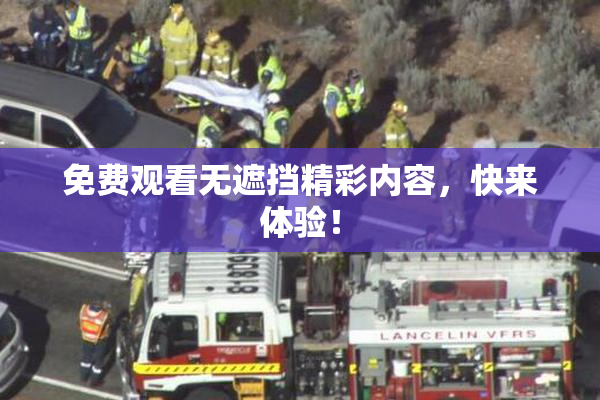 免费观看无遮挡精彩内容，快来体验！