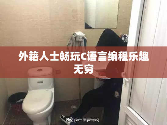 外籍人士畅玩C语言编程乐趣无穷