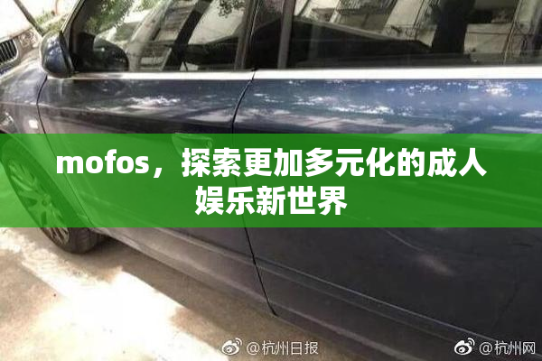 mofos，探索更加多元化的成人娱乐新世界