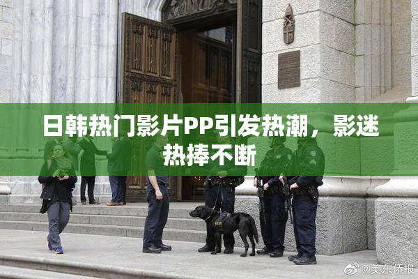 日韩热门影片PP引发热潮，影迷热捧不断