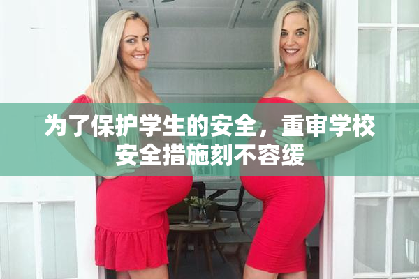为了保护学生的安全，重审学校安全措施刻不容缓