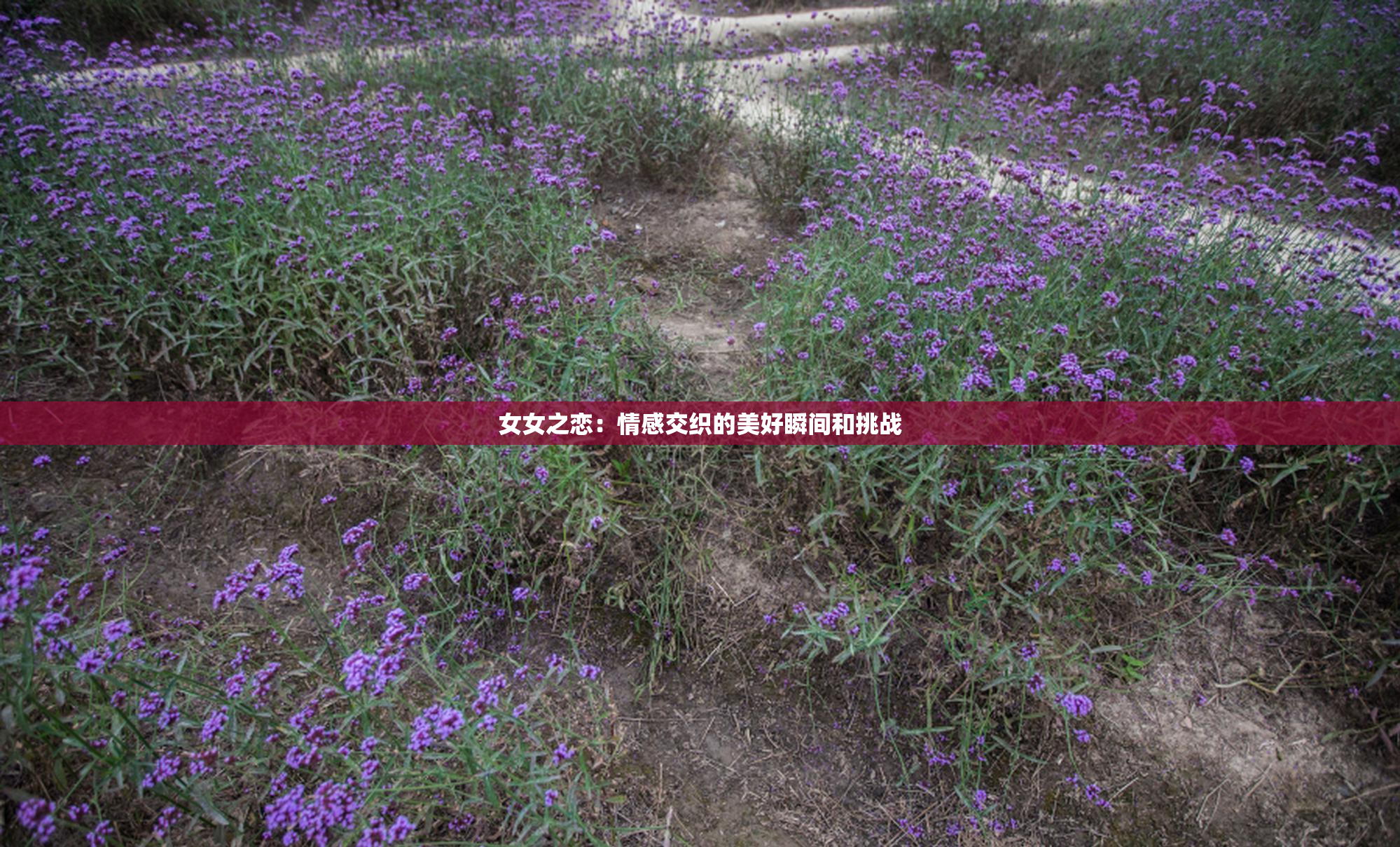 女女之恋：情感交织的美好瞬间和挑战